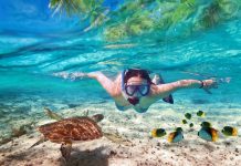 10 cele mai bune destinatii pentru a face snorkeling in Maldive