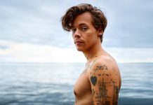 Harry Styles: Depasirea barierelor in muzica