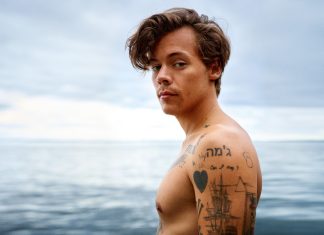 Harry Styles: Depasirea barierelor in muzica