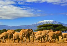 Cele mai frumoase locuri de vizitat in Tanzania (nu doar safari)