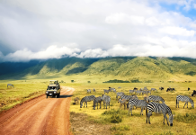 Ce sa faci in Tanzania? Activiti pentru o experienta memorabila
