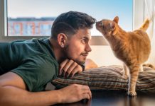 Viata pisicilor de-a lungul istoriei: o legatura unica cu umanitatea